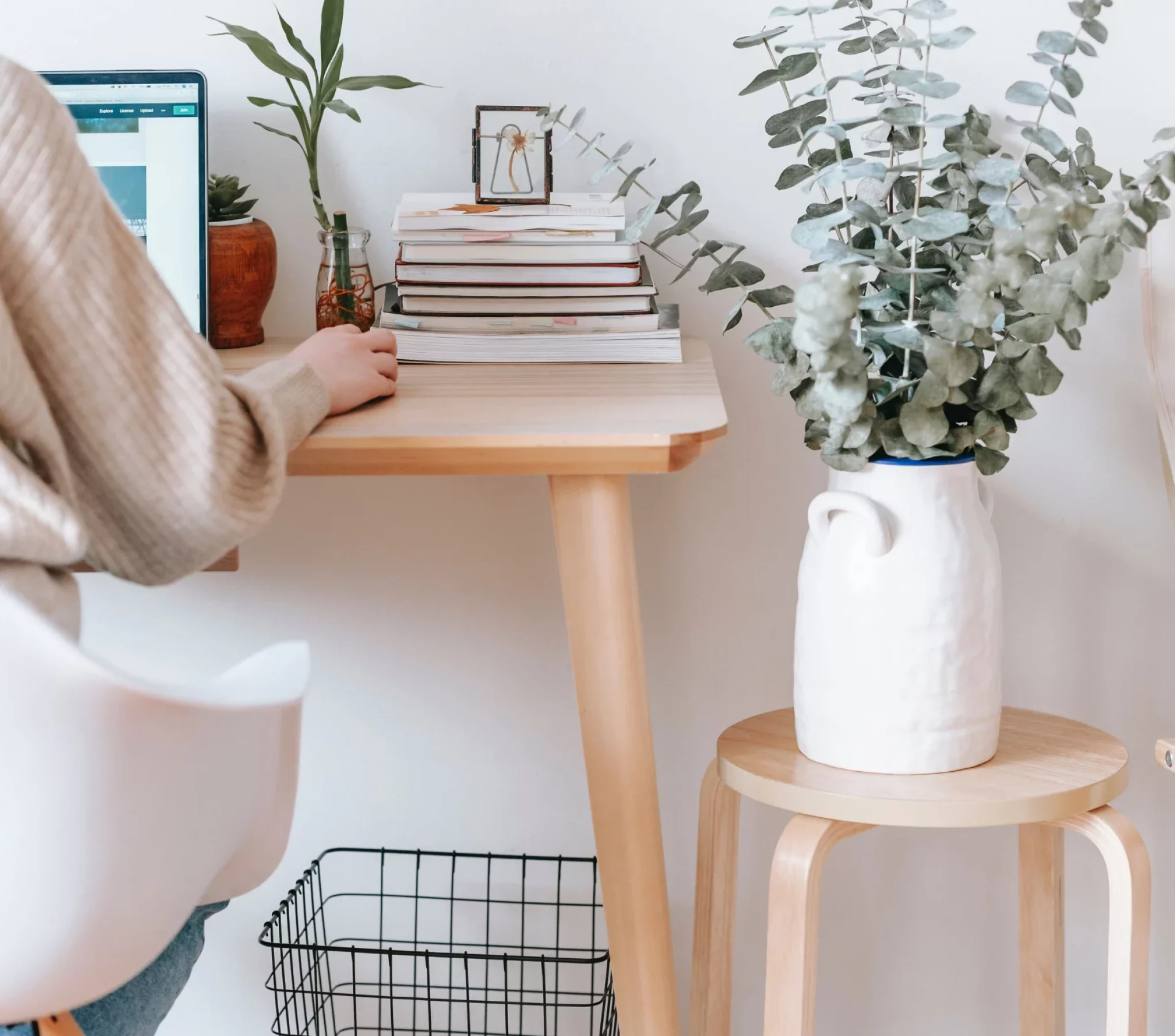 Accueil plante et bureau